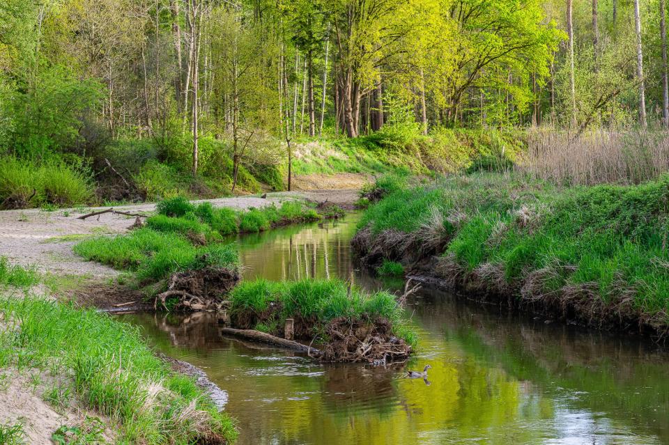 Demer Rotselaar. Bart Heirweg. Centrum Agrarische Geschiedenis.